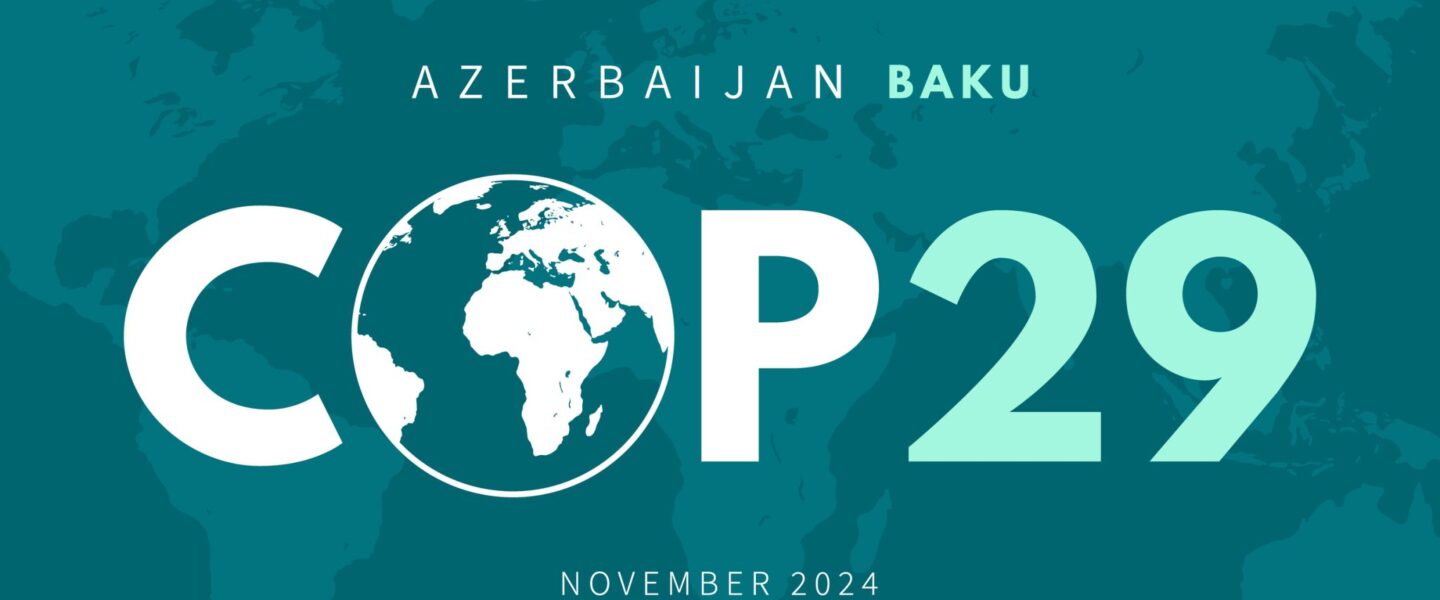 COP29 banner