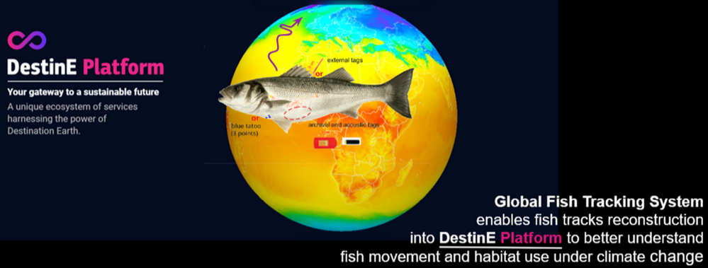 GFTS in the DestinE Platform